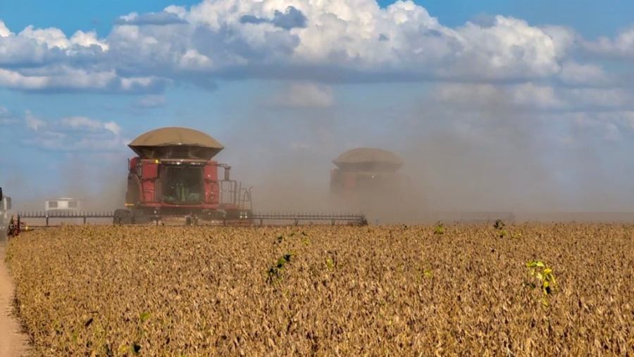 Valor Bruto da Produção agropecuária deve crescer 10% e atingir R$ 1,421 tri em 2025