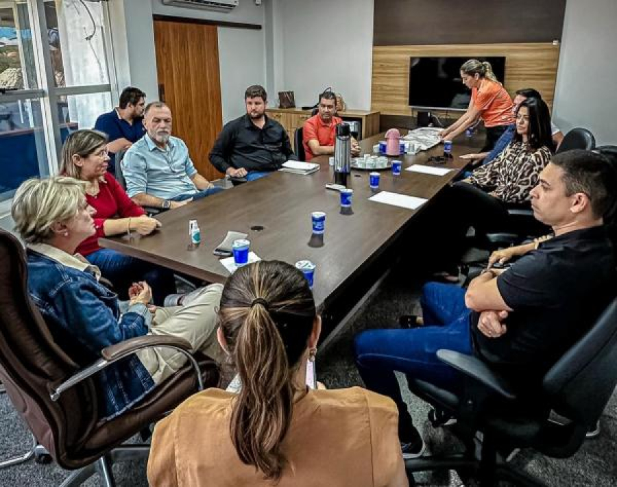 Vereador Brendo Braga  pede apoio à senadora para implantação de mais cursos superiores no IFMT de Sorriso