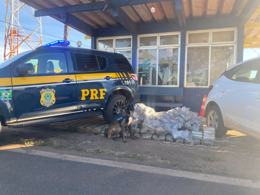 Homem é preso com 84 kg de skunk em carro abordado pela PRF na BR-364