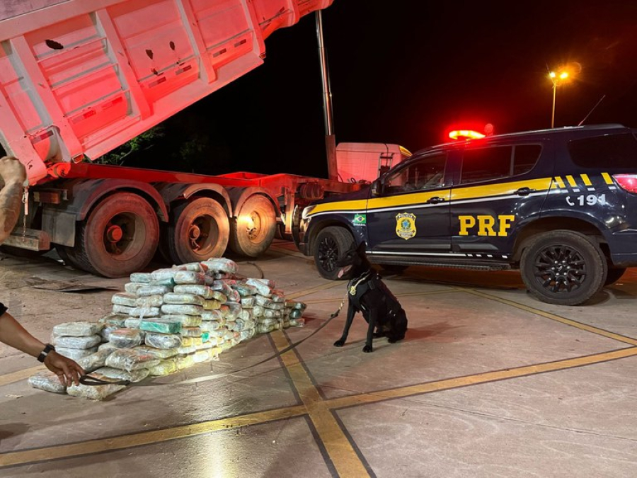 PRF Apreende Grande Carga de Skunk em Caminhão na BR-364, em Cuiabá